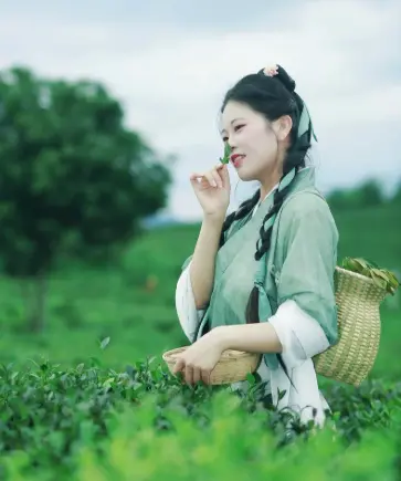 魔都日料平价版：人均一百元吃好清单，真的假的？😅