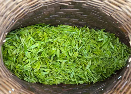 洋房下午茶约会安静氛围与拍照对比，我劝你别再踩坑了😤